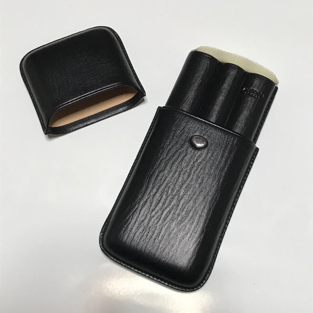 apollosさま】AURORA 万年筆 【専用ケース付き】 AURORA - AURORA