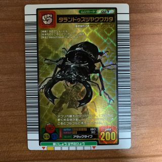 PSA10 タランドゥスツヤクワガタ 2003 AUTUMN PSA10 タランドゥスツヤ