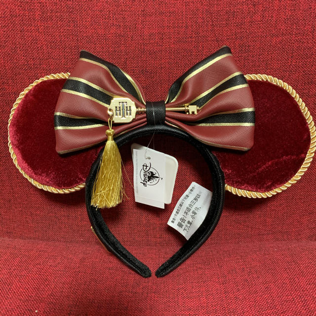 ✨ディズニーワールド限定カチューシャ✨