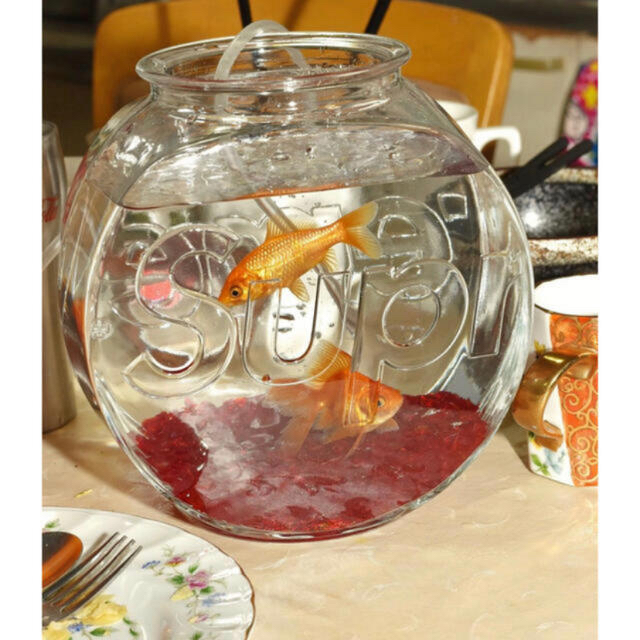 supreme Fish Bowl 金魚鉢