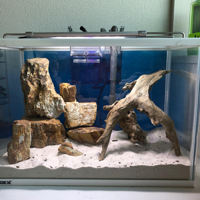 流木 石 セット レイアウト流木の通販 by ジュジュジュジュジュ's shop