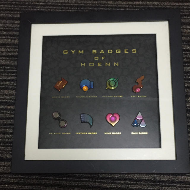 ポケットモンスター SV ジムバッジコレクション チャンピオンリーグ