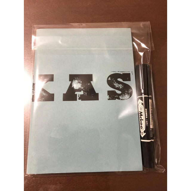 星野源 テキサス TEXAS パンフレット 直筆サイン入り おまけ付き 星野