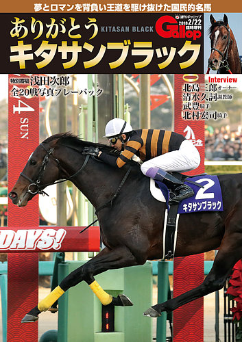 非売品】競馬 ジャパンカップ ポスター キタサンブラック 武豊 ウマ娘