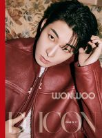 セブチ wonwoo ウォヌ 着用 NUMBERING ナンバリング 希少 新品 DICON
