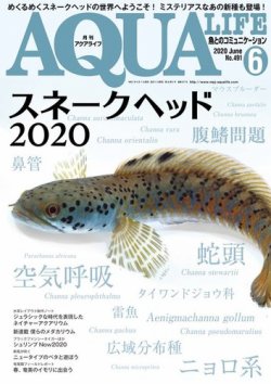 アクアライフ 6月号 (発売日2020年05月11日) | 雑誌/電子書籍/定期購読