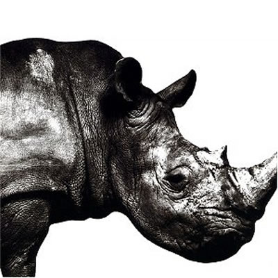 Mr.Children 1992-1995 : Mr.Children | HMV&BOOKS online : Online