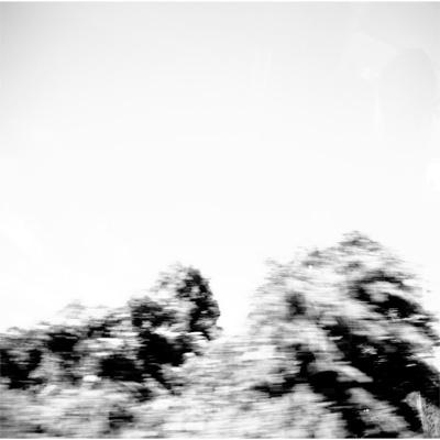 Pictures : Pay money To my Pain [P.T.P] | HMV&BOOKS online - VPCC