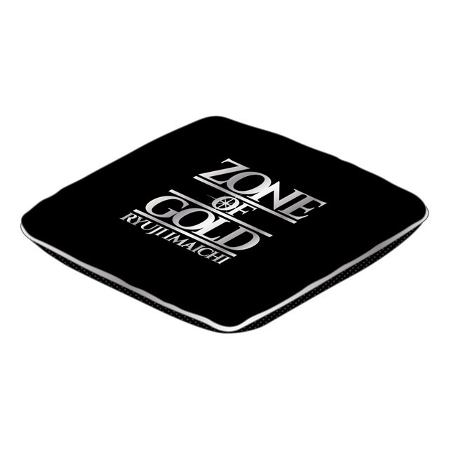 今市隆二 クッション ④ SPECIAL SHOWCASE RYUJI IMAICHI シート