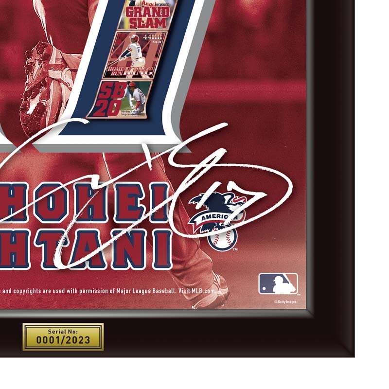 大谷翔平 2023 AL ホームラン王＆MVP獲得記念 額装ピンズセット : 大谷