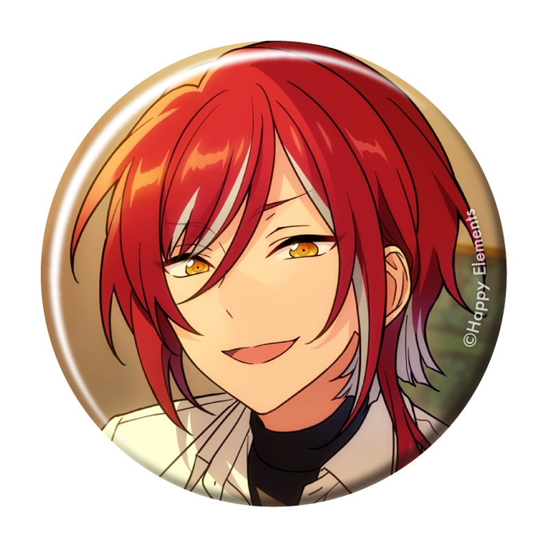 あんスタ 缶バッジ フィーチャー2 瀬名泉 40点 瀬名泉 フィーチャー