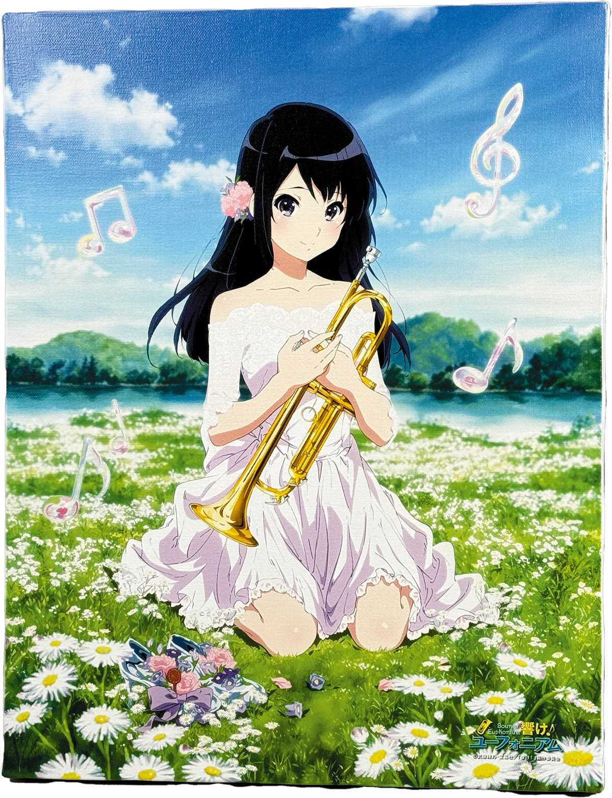 響け！ユーフォニアム Birthday Concert キャンバスアート全11枚 響け