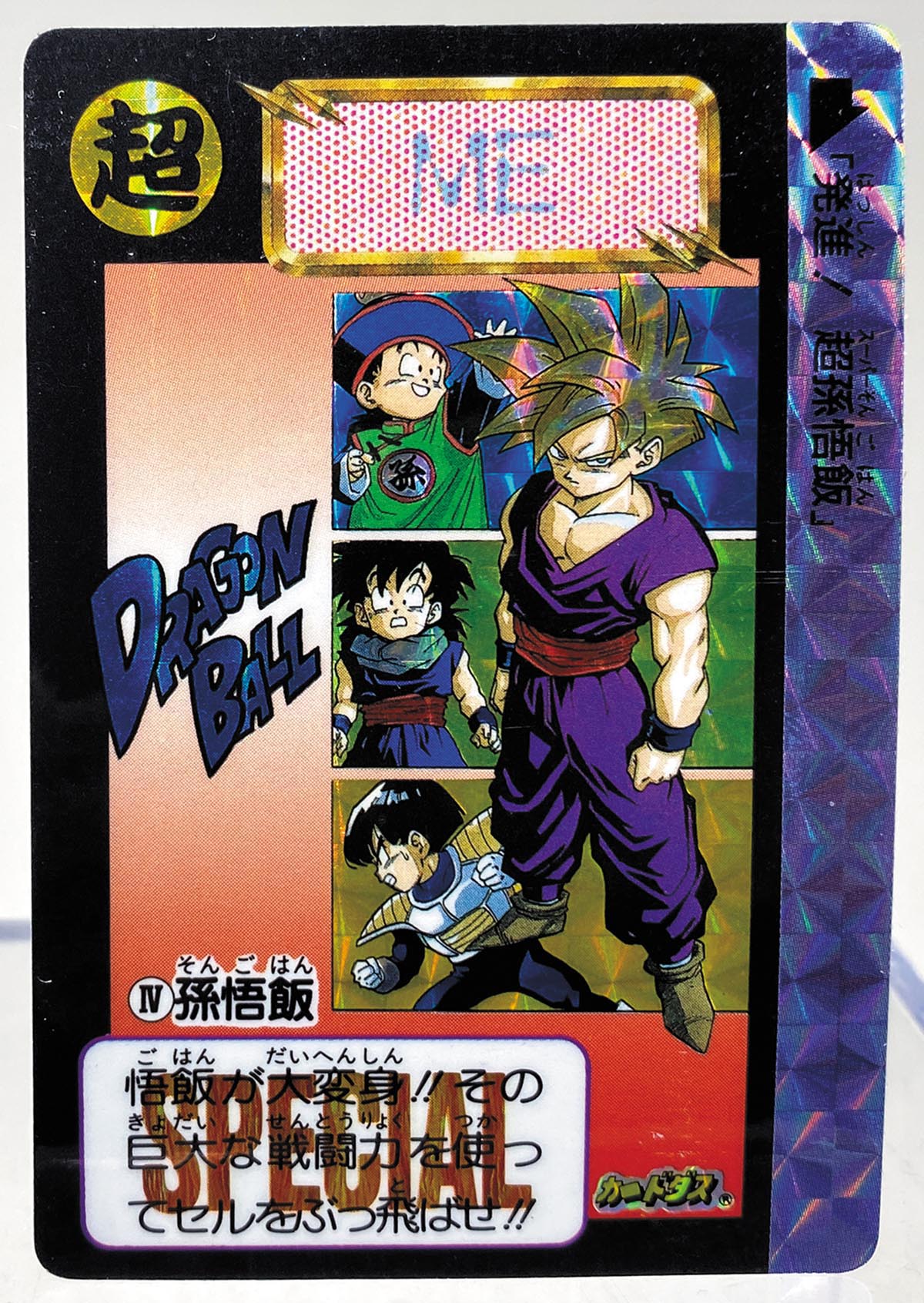 ドラゴンボール カードダス めちゃんこプロジェクト Ⅹ 孫悟飯