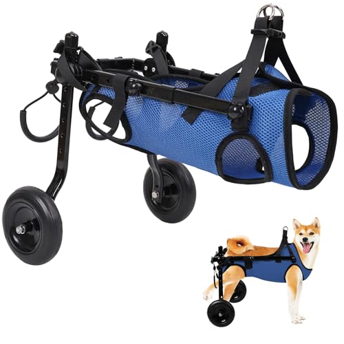 犬用車椅子のおすすめ人気ランキング【2026年2月】 | マイベスト