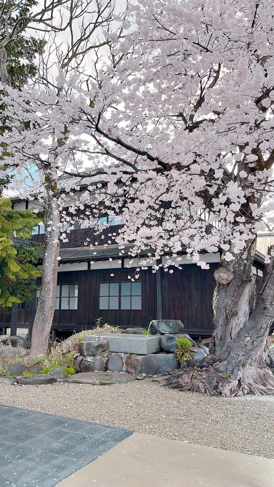 十四代 EXTRA（エクストラ） | Sakenomy - 日本酒を知り、日本を知る