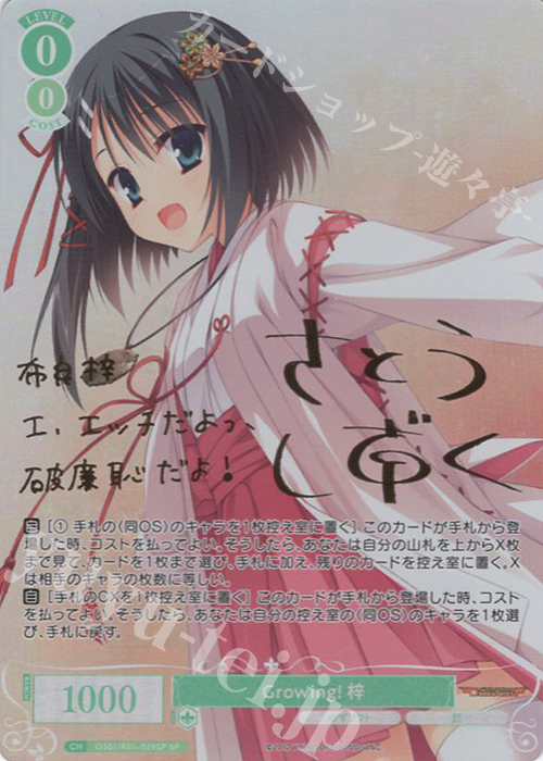 chaos 夕莉シャチ SP サイン【まとめ不可】 chaos 夕莉シャチ SP