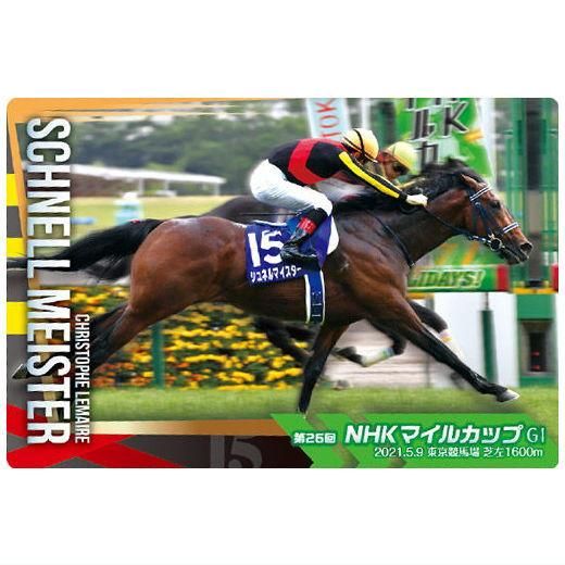 サラブレッドホースコレクション ソングライン池添謙一 サラブレッド