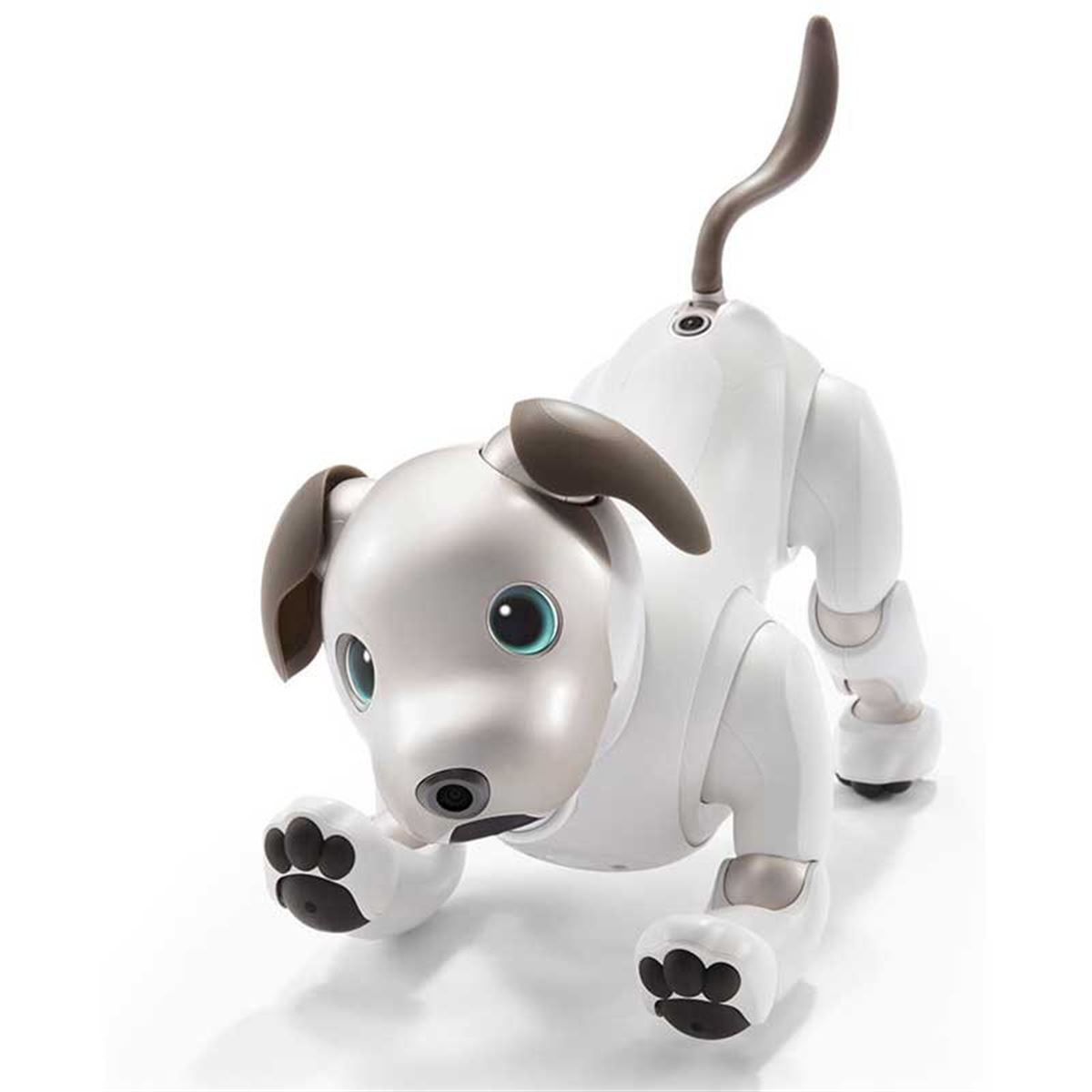 SONY AIBO ロボット犬 グレー 付属品あり SONY AIBO ロボット犬 グレー