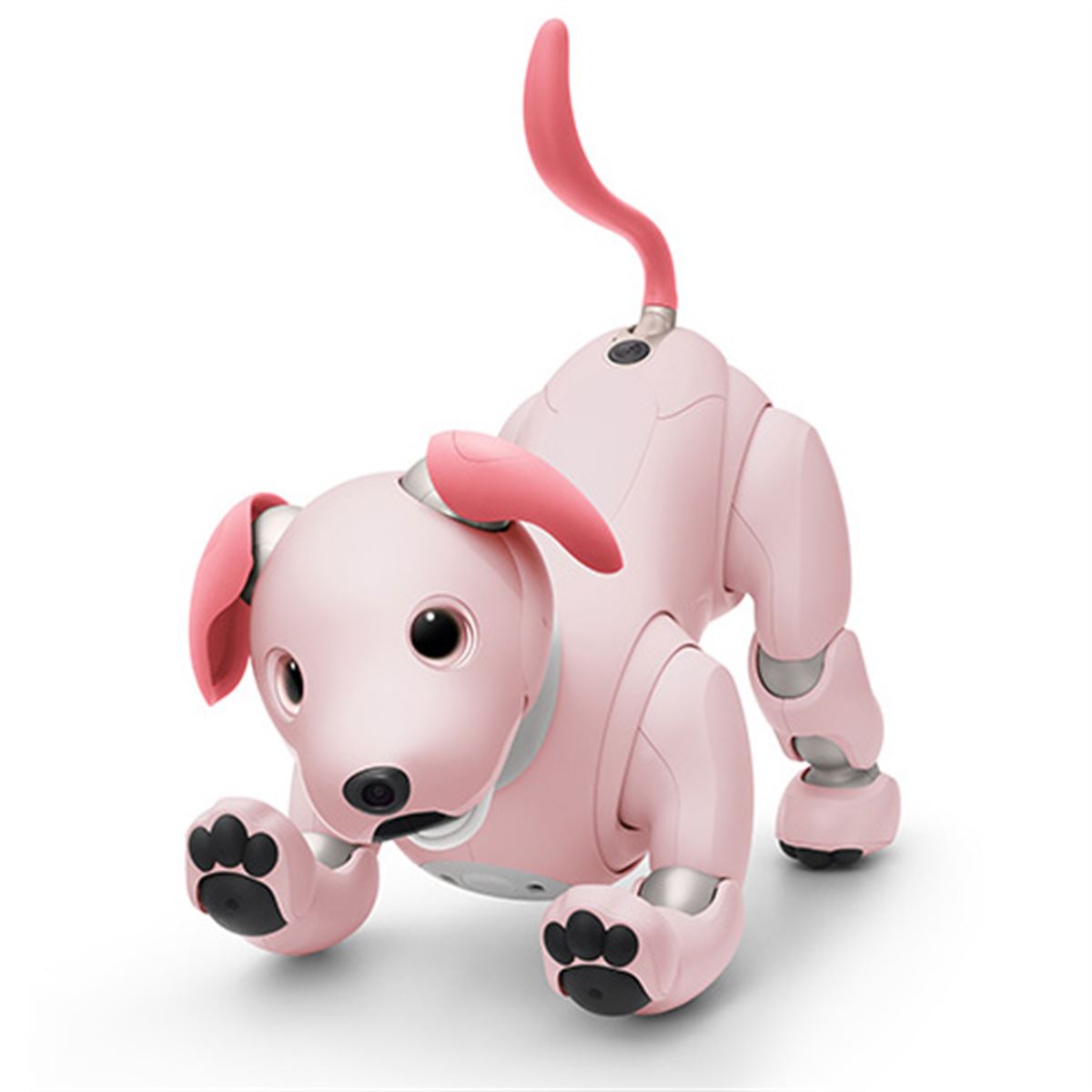ショップ aibo ERS-1000/M/S 初期化済み aibo ERS-1000/M/S 初期化済み