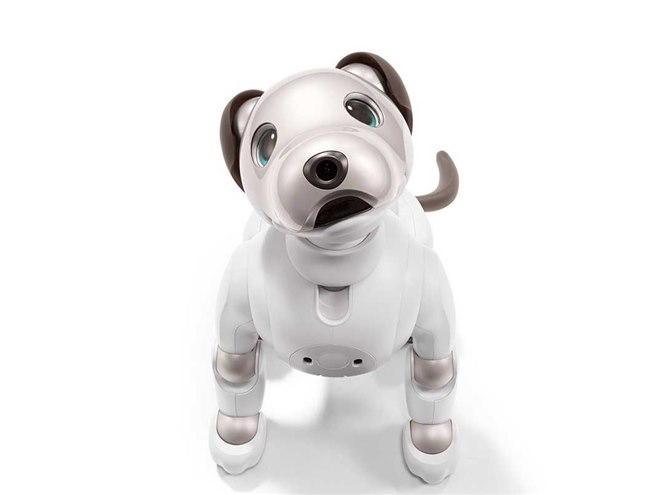 ソニー、オーナーに寄り添うロボット犬「aibo（アイボ）」を198,000円
