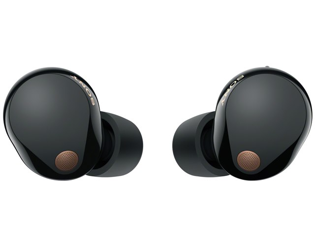 wf-1000xm5 イヤーピース」の人気商品一覧 | 安い商品を通販サイトから