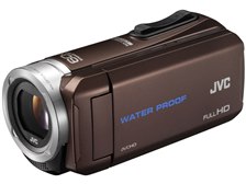 フルハイビジョン画質対応！ JVC Everioビデオカメラ GZ-E770 フル