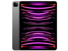 iPad Pro 12.9インチ（第3世代）Wi-Fiモデル 1TB NO.26 12.9インチiPad