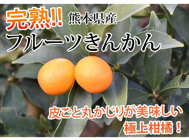 金柑 みかん 完熟フルーツきんかん 送料無料 1kg 2セット購入で1セット