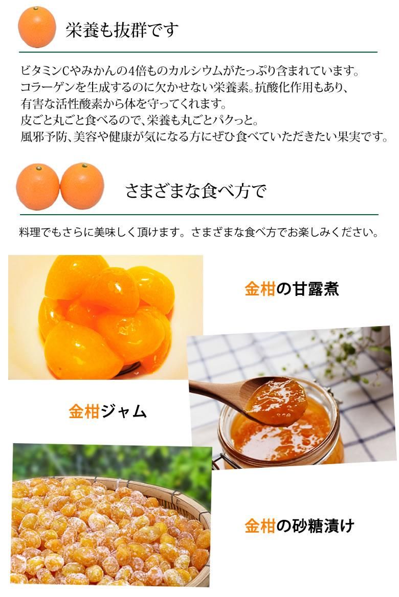 金柑 みかん 完熟フルーツきんかん 送料無料 1kg 2セット購入で1セット