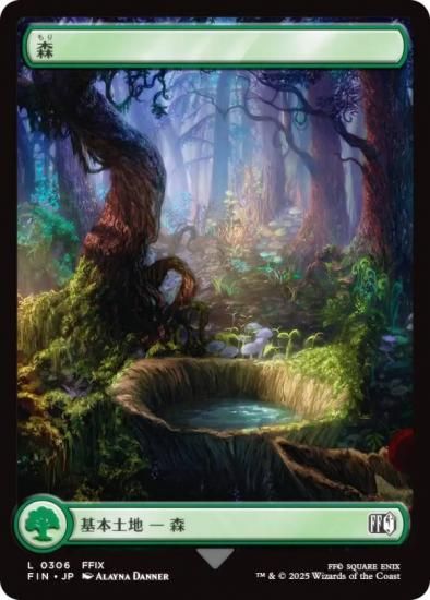 Bayou マジック：ザ・ギャザリング 土地カード Bayou》[2ED] 土地R