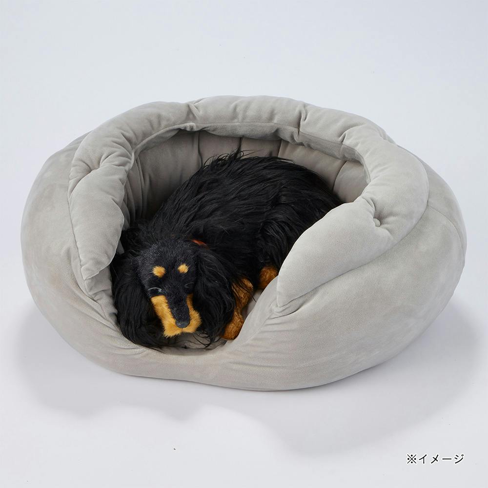 犬人兼用 オーバル型 ベッド グレー Amazon | カインズ(CAINZ) ペット