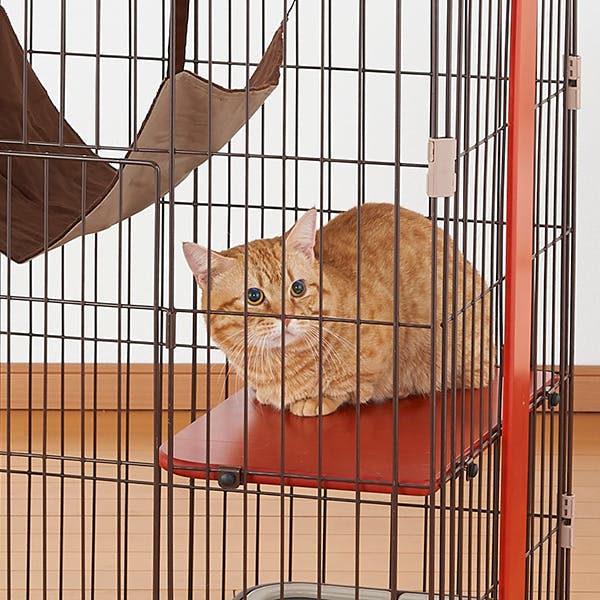 ウッドワンサークルキャットミニ ウッドワンサークルキャット ミニ