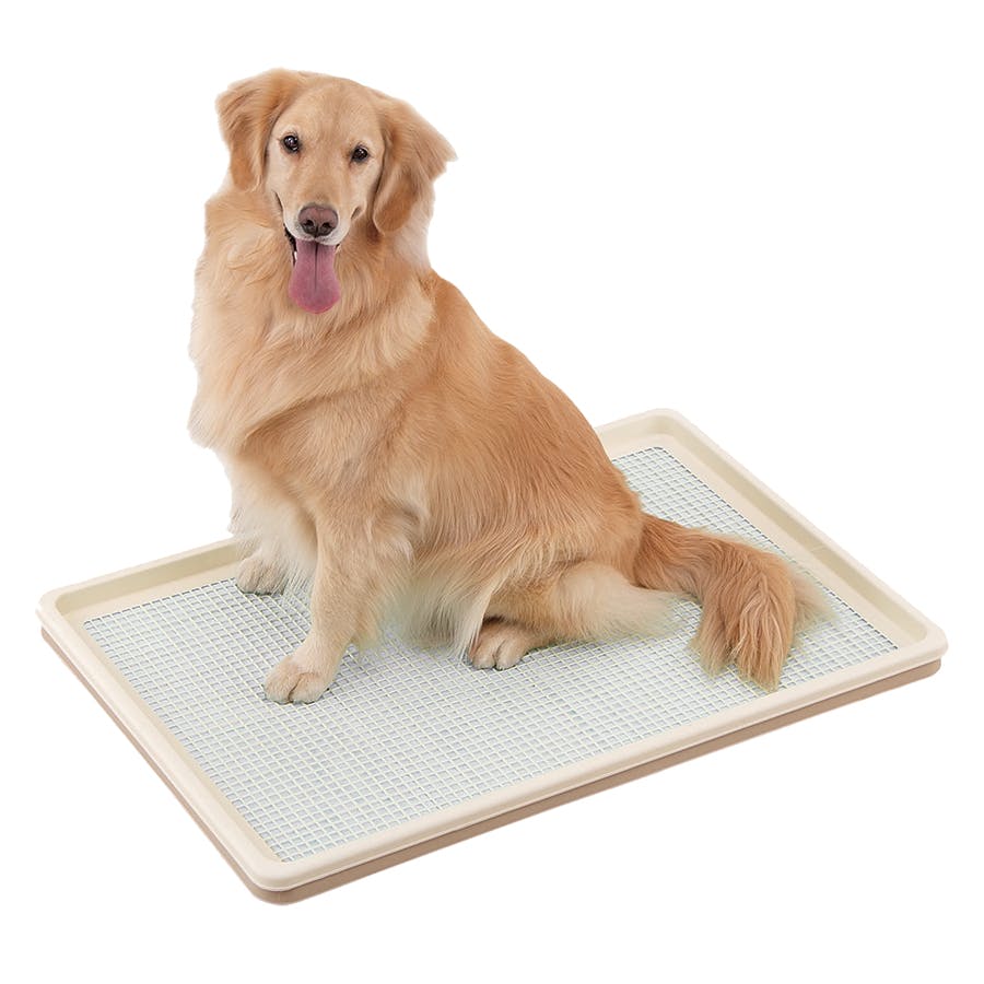 ボンビアルコン しつけるトレーXLメッシュタイプ 犬 用品 トイレ