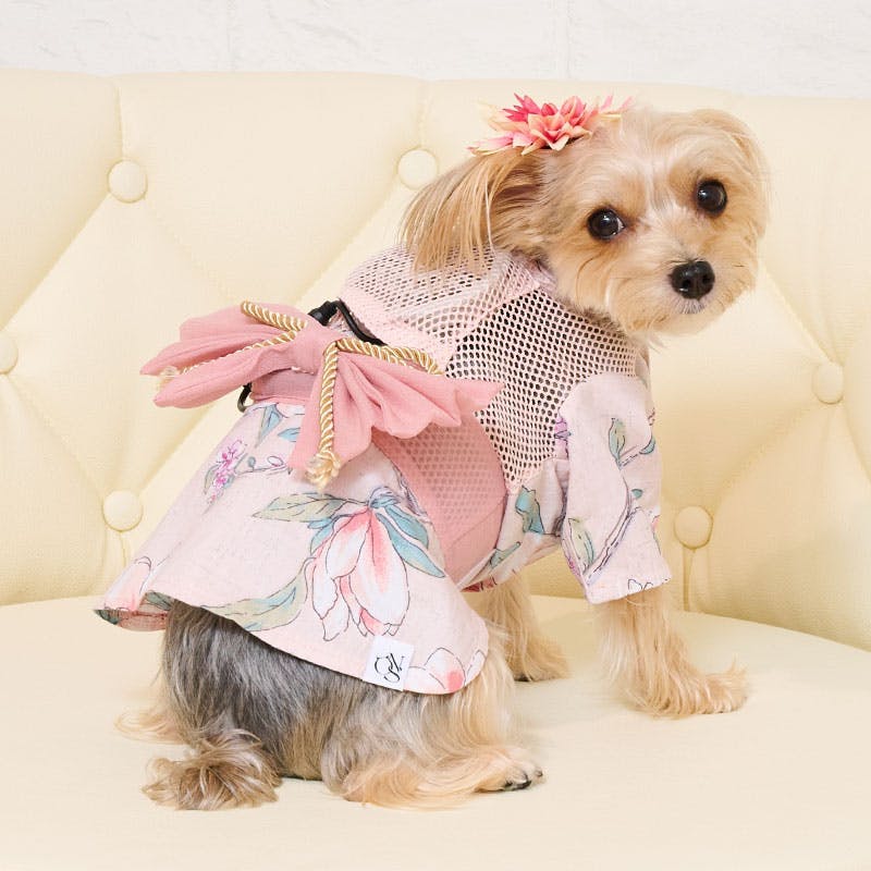 B451.pon2pan2☆犬オーダーお着物☆犬お着物｜B451.pon2pan2☆犬