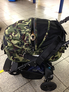 エアバギーペット ドームM 2012-2014(口コミ・レビュー) | 犬グッズ