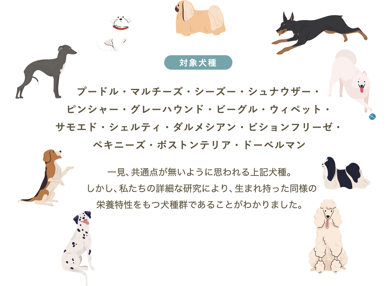 犬心～LOW FAT DOGS～ - 犬心～INUKOKORO～