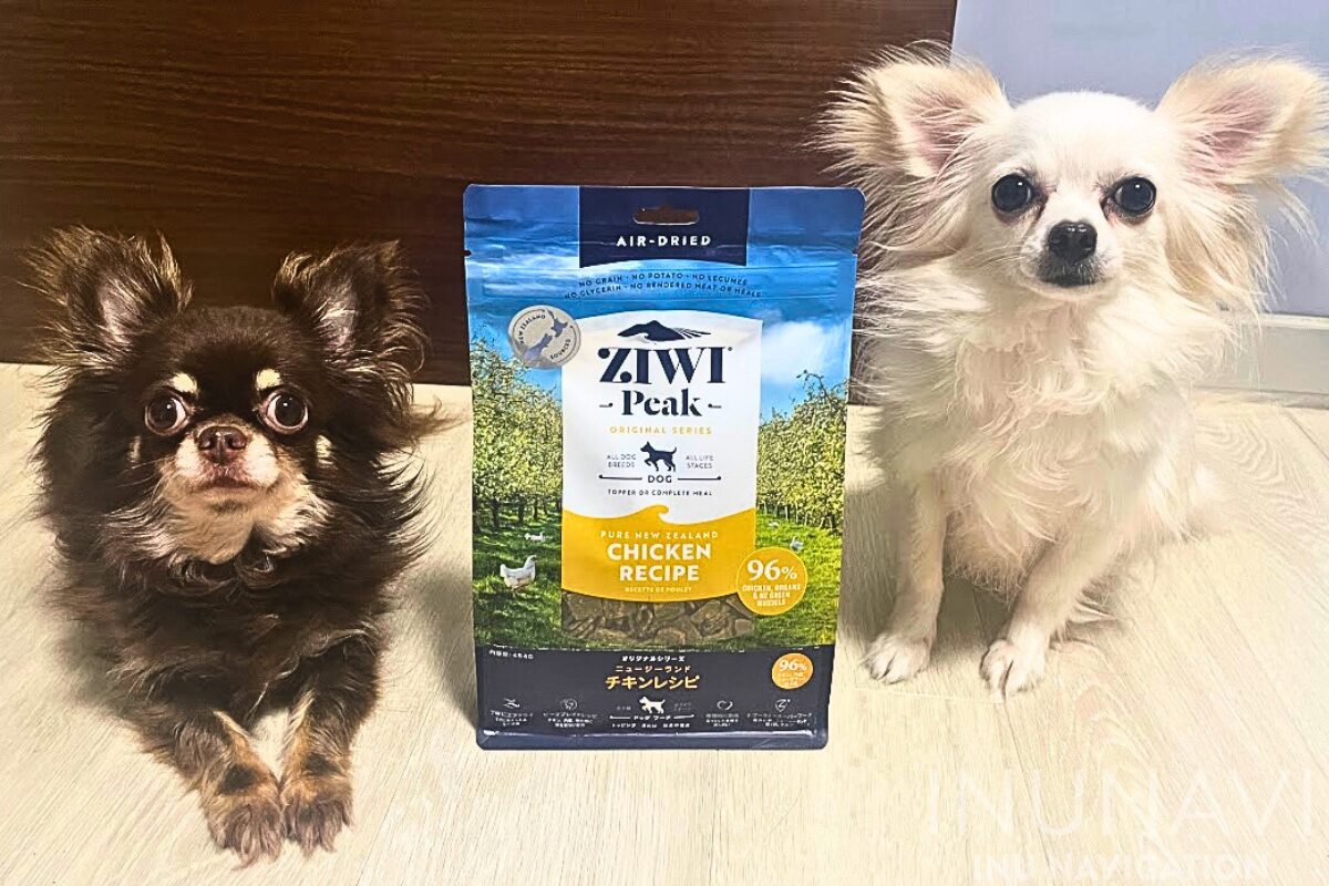 ELMO リッチチキン 成犬用 ELMOエルモ リッチ in チキン 成犬用 800g×4