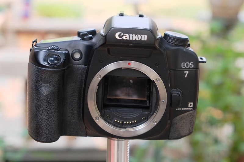 Canon EOS 7 review: An incredible 35mm film camera in 2021