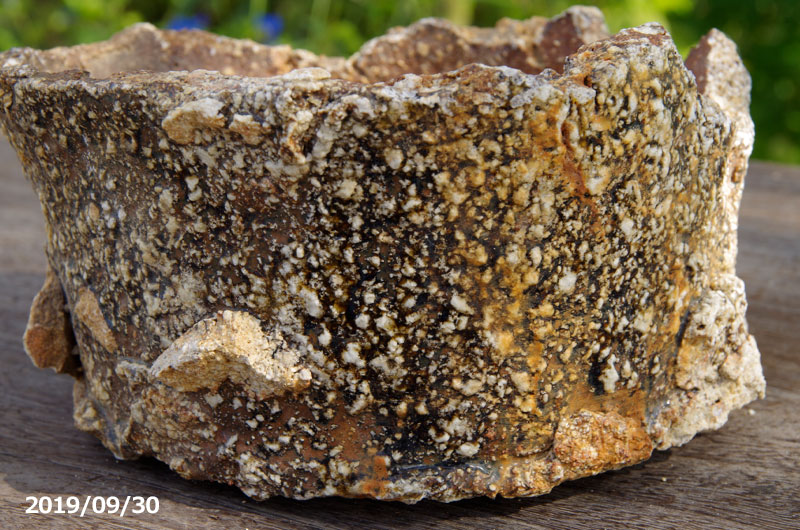 信楽焼 さや（原鉢） | 石田精華園