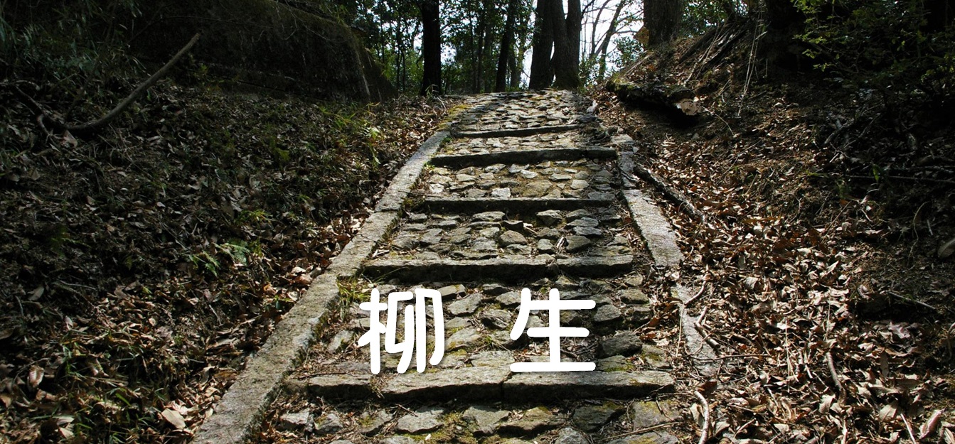 やまと 十八代 柳生／／宗家 書 やまと 十八代 柳生／／宗家 書 大和