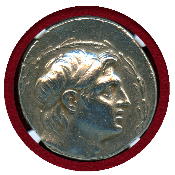 JCC | ジャパンコインキャビネット / セレウコス朝シリア 紀元前162