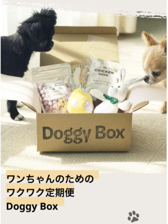 Doggy Box（ドギーボックス）】犬のおもちゃとおやつが毎月届くお
