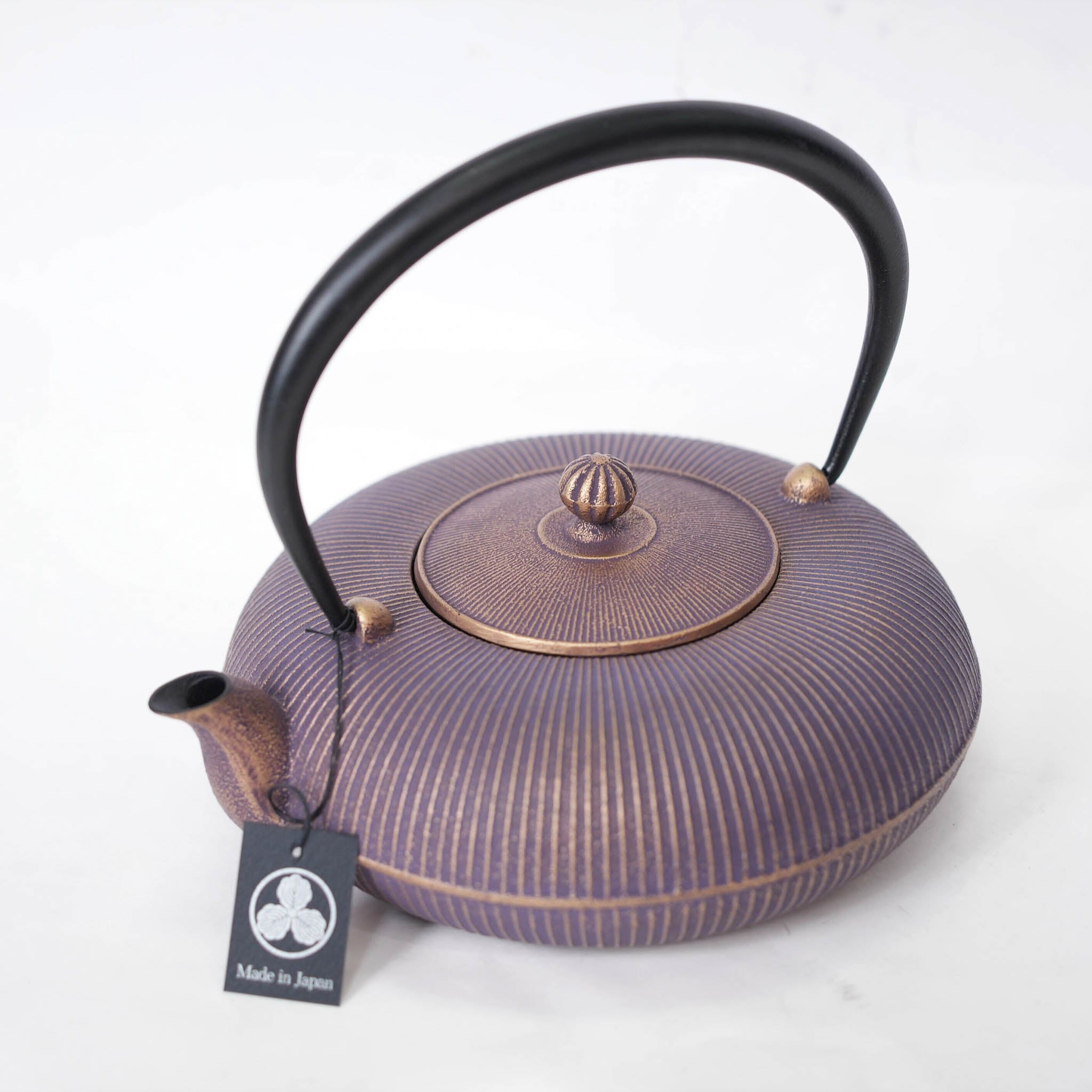 鉄器 急須 伝統工芸 手作り 鉄分補給 鉄瓶JMHB053