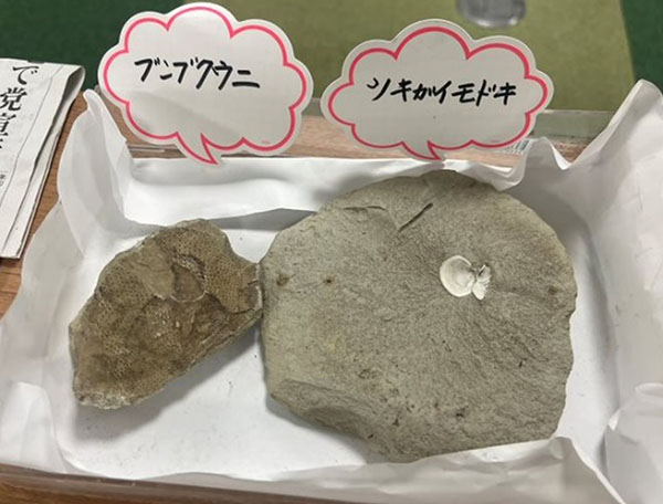 レポート】ジェフ色のなつ「探ろう！チバニアンのヒミツ」｜ニュース