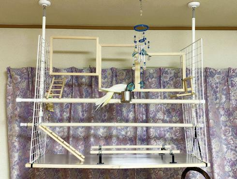 インコの為の大型バードアスレチック（バードジム）を手作り！ラクちん