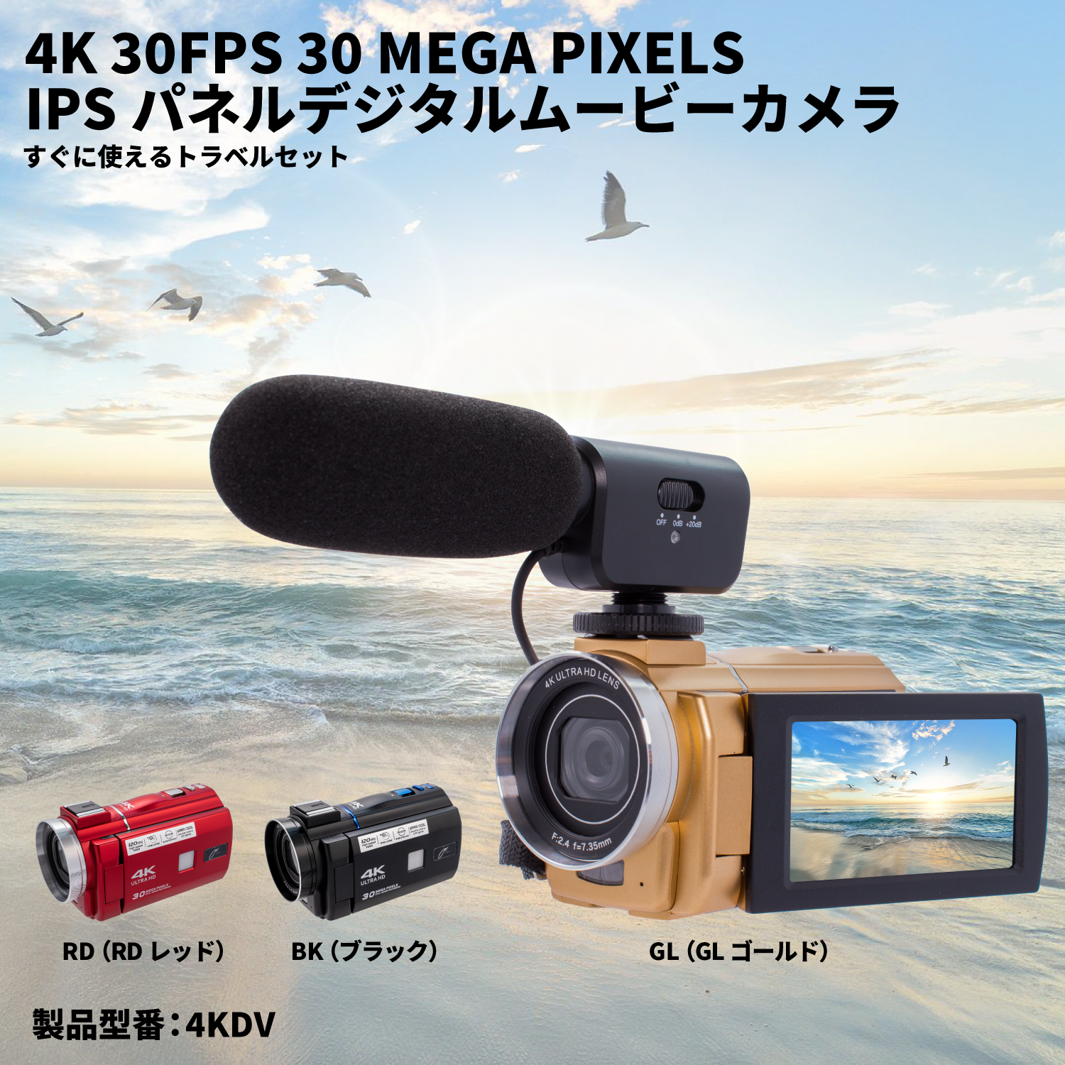 4KDVCAM / 4KDV | JOYEUX