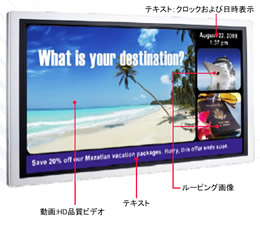 映像用ケーブル bright sign XD3 映像用ケーブル bright sign XD3