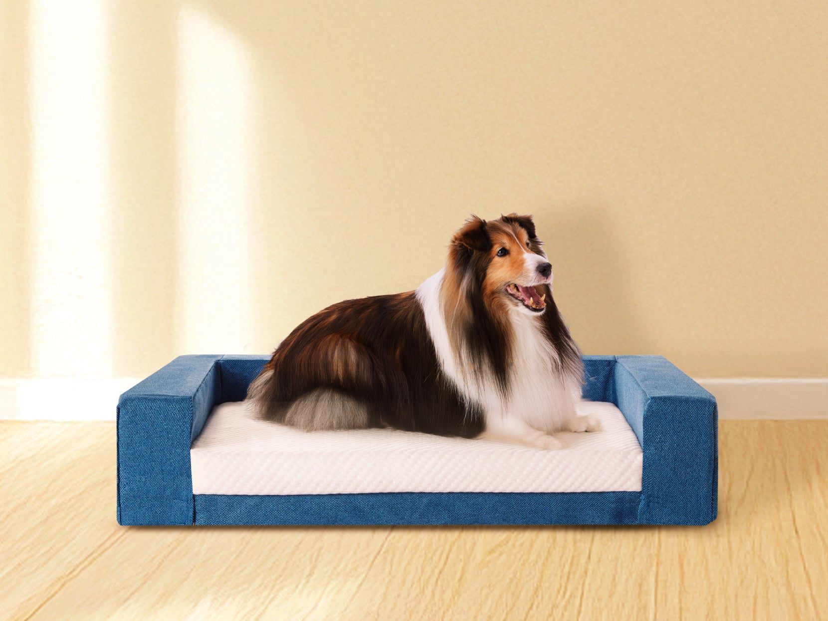 コアラペットベッド KUDDLE | コアラマットレス公式 – コアラ