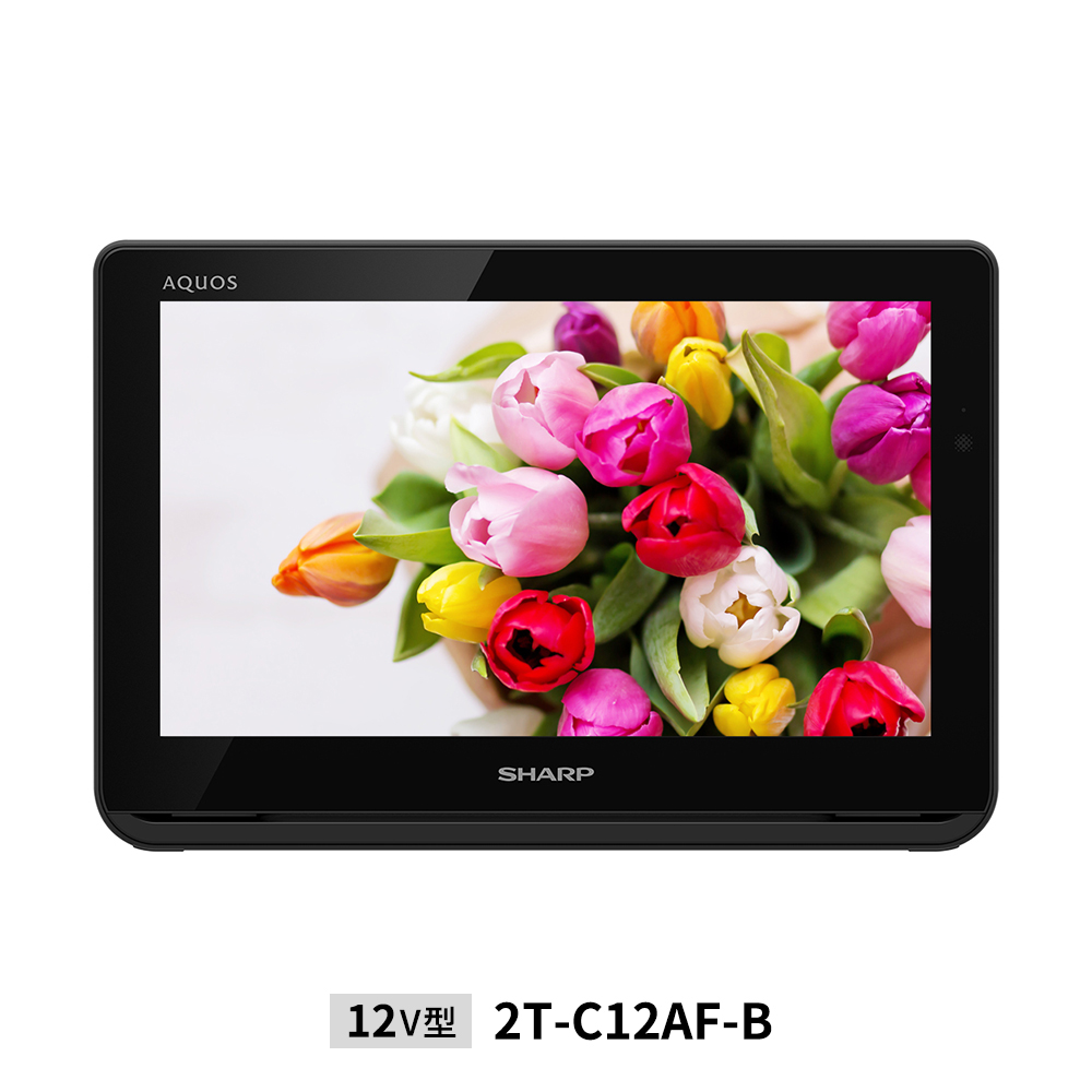 SHARP AQUOS ポータブルテレビ 2T-C12AF-W 12V B010 【公式通販】
