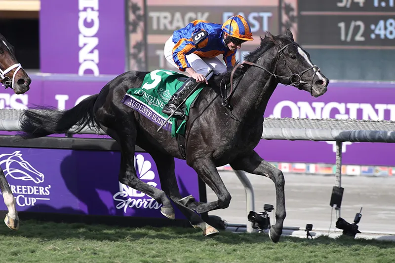 英ダービー馬オーギュストロダングッズ登場 | JRA-VANスマホアプリ